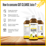 Goldenroot GoldenRoot Gut Cleanse Juice in a 500 ml bottle, organic fruit juice for digestive wellness, by Bionik.