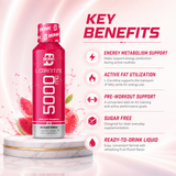 BIONIK NUTRITION L-Carnitine Liquid 5000mg L-Carnitine – Fruit Punch