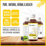 Nature's Hive Gut Cleanse Herbal Juice in a 1L bottle, showcasing the natural herbal ingredients and packaging.