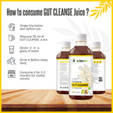 Nature's Hive Gut Cleanse Herbal Juice in 1L bottle, showcasing the herbal ingredients and vibrant packaging.