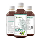 Bottle of Nature's Hive Jamun Neem Karela Herbal Juice in a 1L container, showcasing the herbal health supplement.