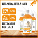 Bottle of Nature's Hive Seabuckthorn Juice herbal supplement displaying the 1L bottle with label featuring seabuckthorn berries and omega fatty acids.
