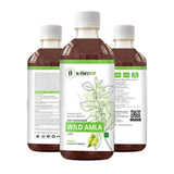 Bottle of Nature's Hive Wild Amla Herbal Juice in a 1-liter container, featuring the herbal juice label and natural amla fruit imagery.