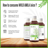 Bottle of Nature's Hive Wild Amla Juice, herbal beverage in a 1-liter container, with a natural fruit and herbal label.