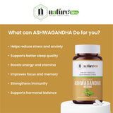Nature's Hive Ashwagandha Tablets herbal supplement bottle with 60 tablets, natural herbal remedy for stress and vitality.