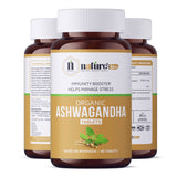Nature's Hive Ashwagandha Tablets herbal supplement bottle with 60 tablets for stress relief and overall wellness.