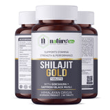 Nature's Hive Shilajit Gold Tablets herbal supplement, 60 tablets, showing the bottle and tablets in a natural setting.