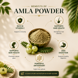 Organic Amla Powder from The Bharat Origin, 100g, in a natural herbal powder form, suitable for hair and skin health.