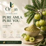 Organic Amla Powder by The Bharat Origin in a 100g package, showcasing the herbal powder in a resealable bag.