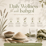Organic herbal powder of Isabgol Psyllium Husk in a 100g package from The Bharat Origin, showing the powder in a clear container.