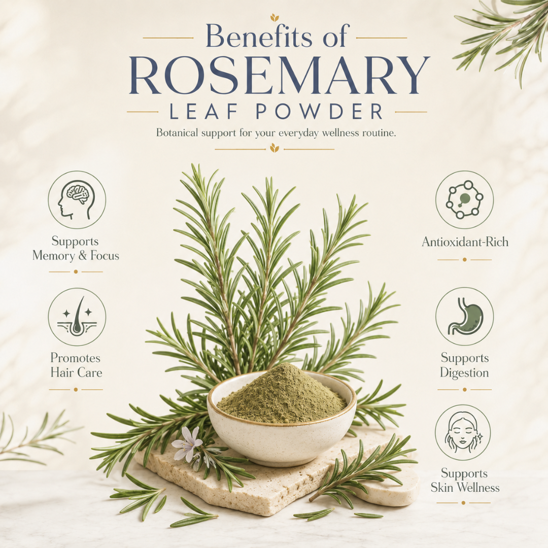 Organic Rosemary Leaf Powder by The Bharat Origin, 100g, showing fresh green rosemary herbs in a clear container.