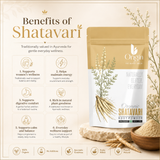 Organic Shatavari Root Powder by The Bharat Origin, 100g, shown in a clear image of dried root powder in a jar.