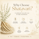 Organic Shatavari Root Powder by The Bharat Origin, 100g, in a clear container showing the fine herbal powder.