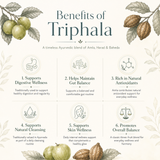 Organic herbal Triphala powder by The Bharat Origin, 100g, showing the fine greenish-brown herbal powder for digestive wellness.